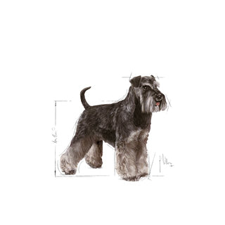 Royal Canin Breed Nutrition Miniature Schnauzer Adult