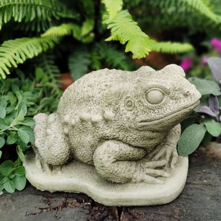 Sparta Statues Toad