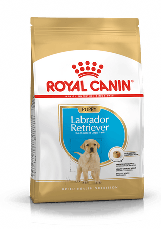 Royal Canin Breed Nutrition Labrador Retriever Puppy