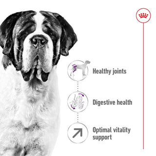 Royal Canin Size Health Nutrition Giant Adult