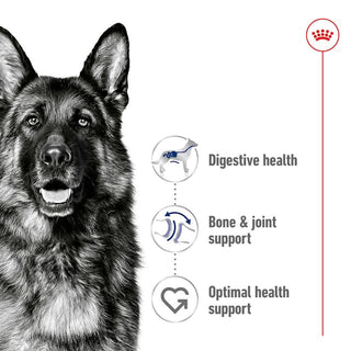 Royal Canin Size Health Nutrition Maxi Adult