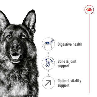 Royal Canin  Health Nutrition Maxi Adult 5+