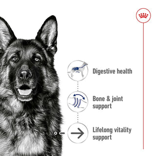 Royal Canin Size Health Nutrition Maxi Ageing 8+