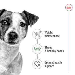 Royal Canin Size Health Nutrition Mini Adult