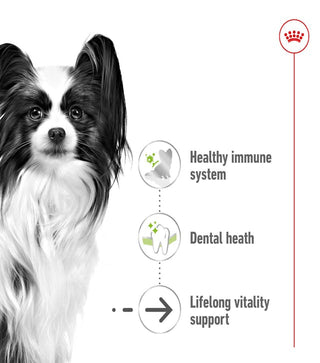 Royal Canin Size Health Nutrition X-Small Ageing 12+