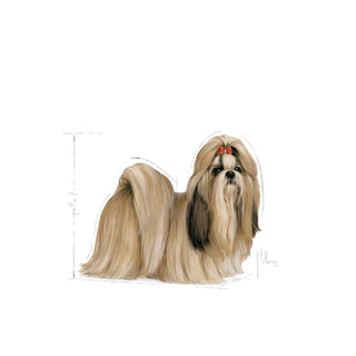 Royal Canin Breed Nutrition Shih Tzu Adult