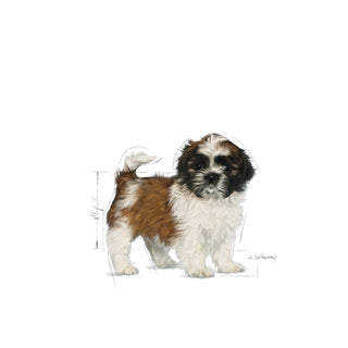 Royal Canin Breed Nutrition Shih Tzu Puppy